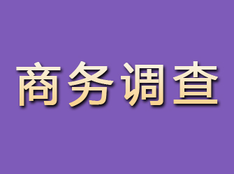 黄山商务调查